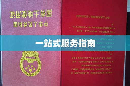 咸宁一站式服务指南