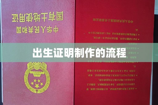咸宁出生证明制作的流程