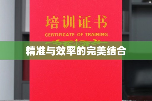 咸宁精准与效率的完美结合